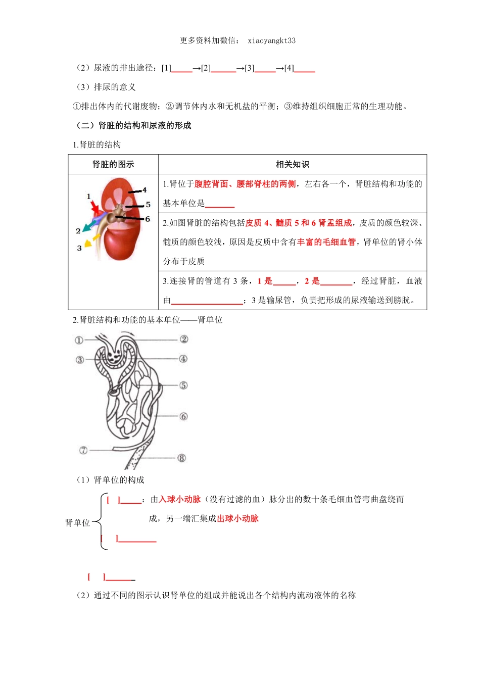 专题12 人体内废物的排出（原卷版）_八年级下册_八年级下册生物.pdf_第2页