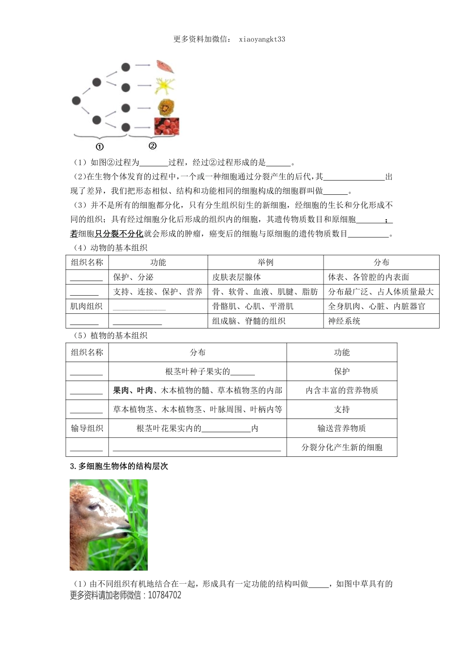 专题03 细胞怎样构成生物体（原卷版）_八年级下册_八年级下册生物.pdf_第2页