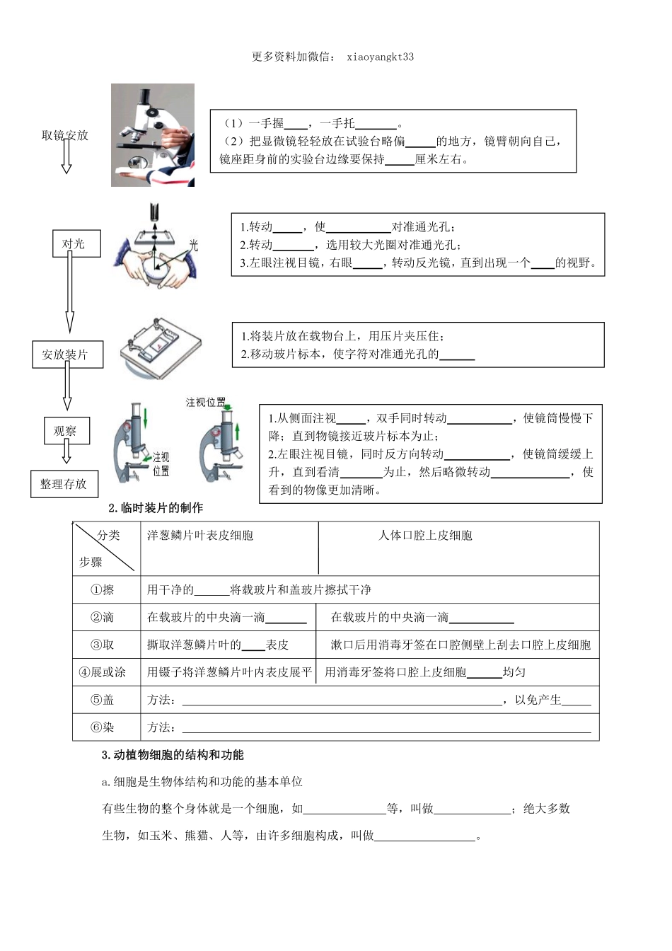 专题02 细胞是生命活动的基本单位（原卷版）_八年级下册_八年级下册生物.pdf_第2页