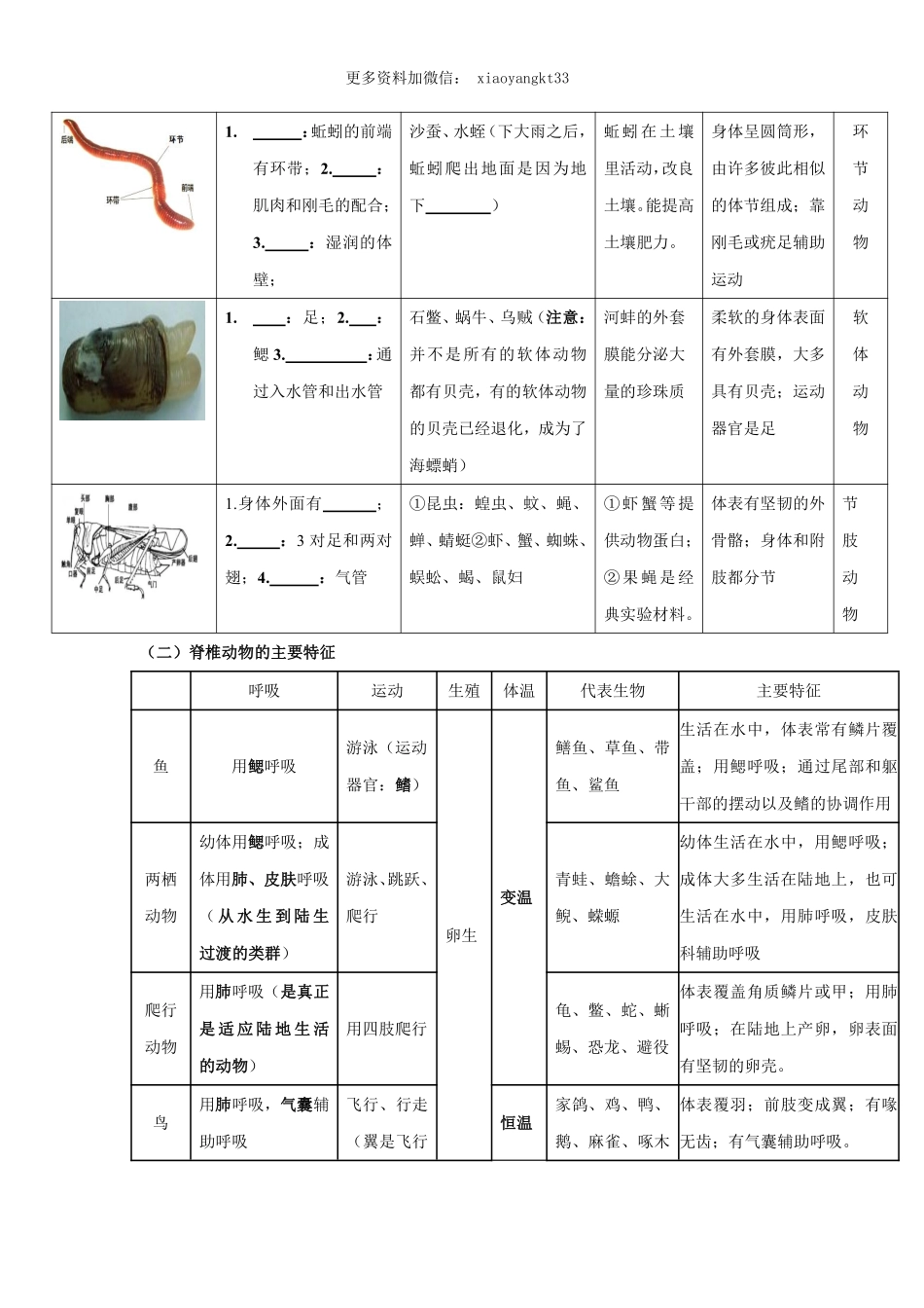 考点14 动物的主要类群（原卷版）_八年级下册_八年级下册生物.pdf_第2页