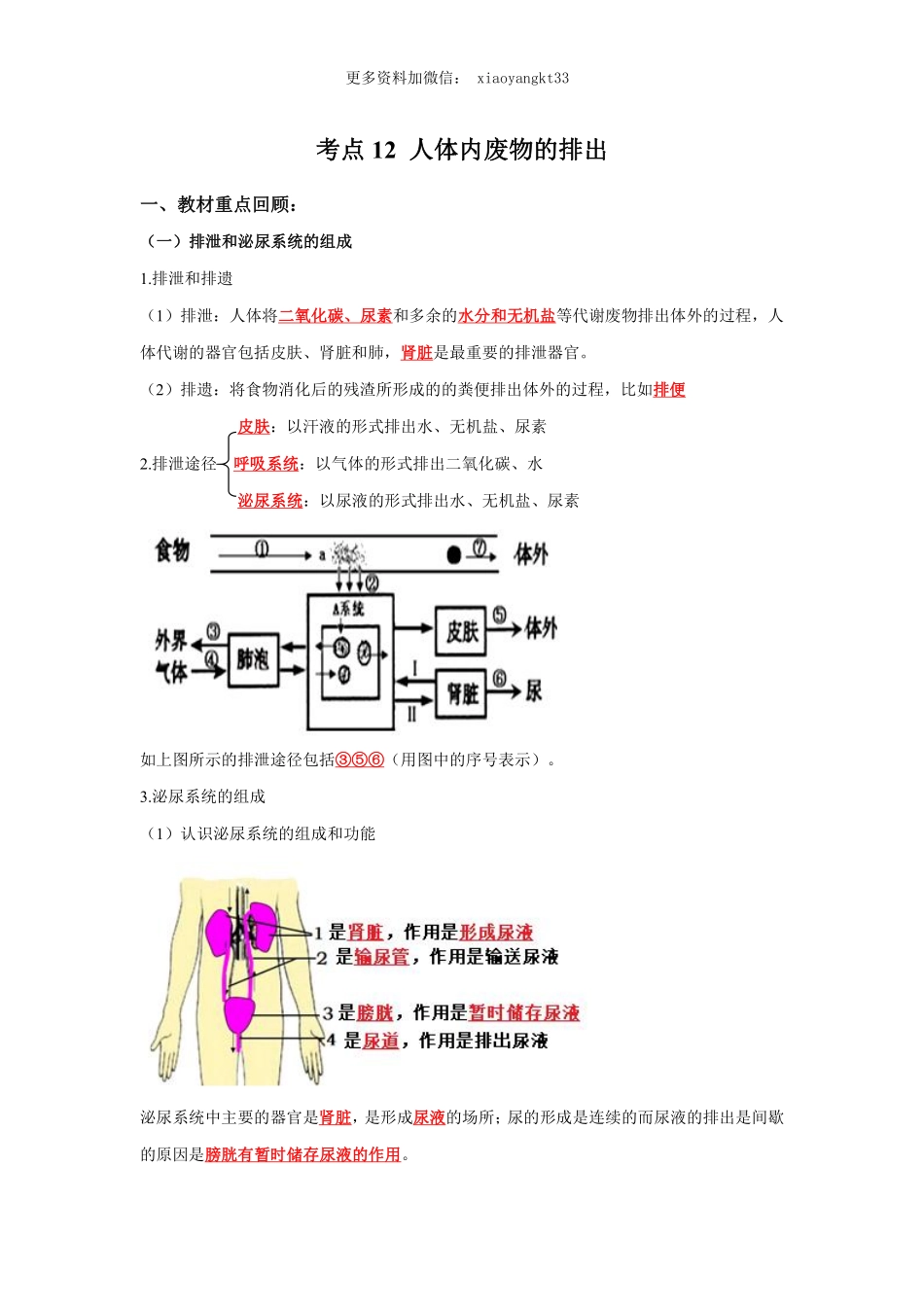 考点12 人体内废物的排出（解析版）_八年级下册_八年级下册生物.pdf_第1页