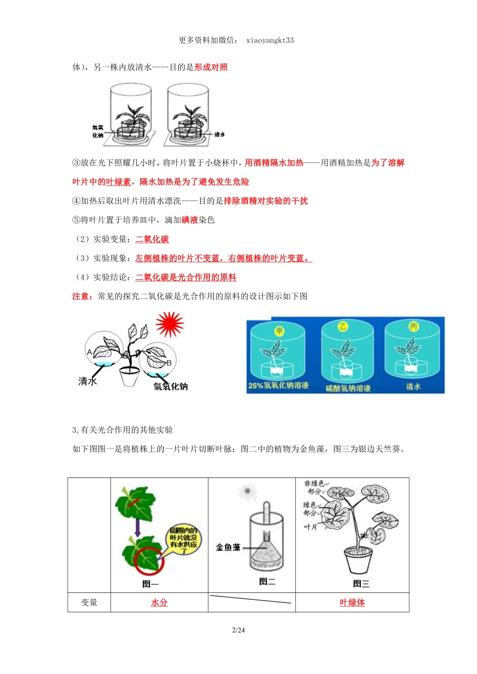 考点07 绿色植物的光合作用和呼吸作用（解析版）_八年级下册_八年级下册生物.pdf_第2页