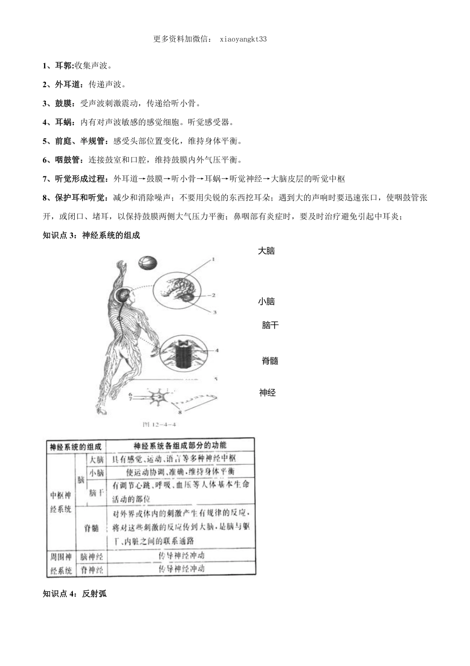 第04讲 七年级下册识图辅导（3）-中考生物识图专题辅导_八年级下册_八年级下册生物.pdf_第2页