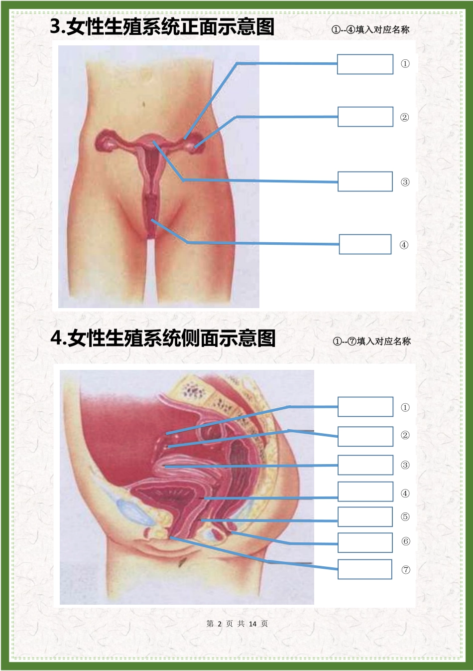 七下生物 40分钟掌握全部白地图识图题 刷起来_八年级下册_八年级下册生物.pdf_第2页