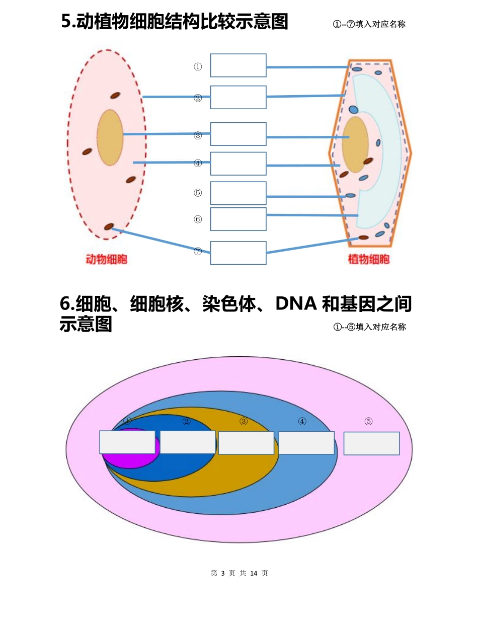 初中生物会考白地图七年级上册_八年级下册_八年级下册生物.pdf_第3页