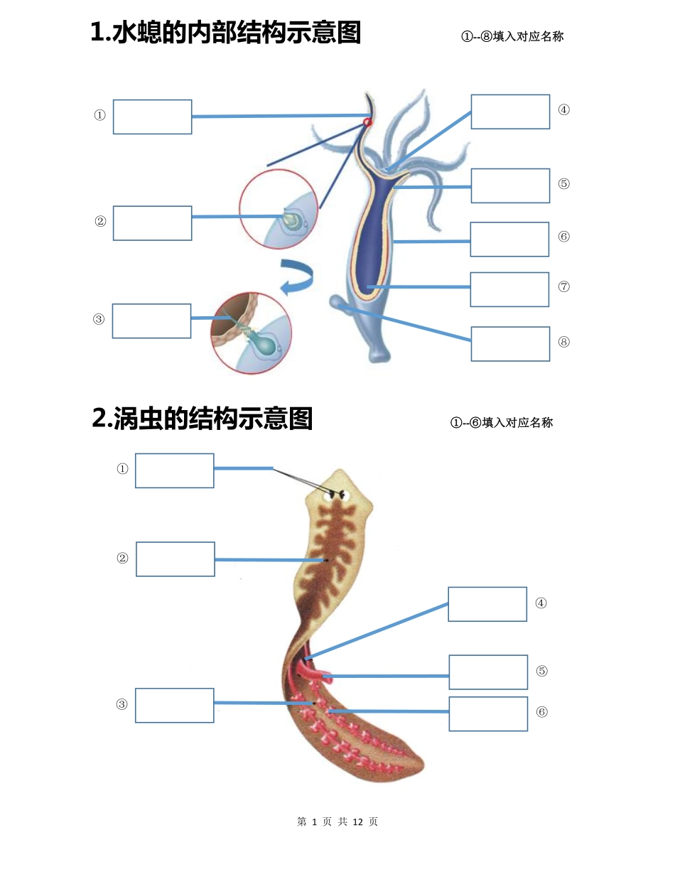 初中生物会考白地图八年级上册_八年级下册_八年级下册生物.pdf_第1页