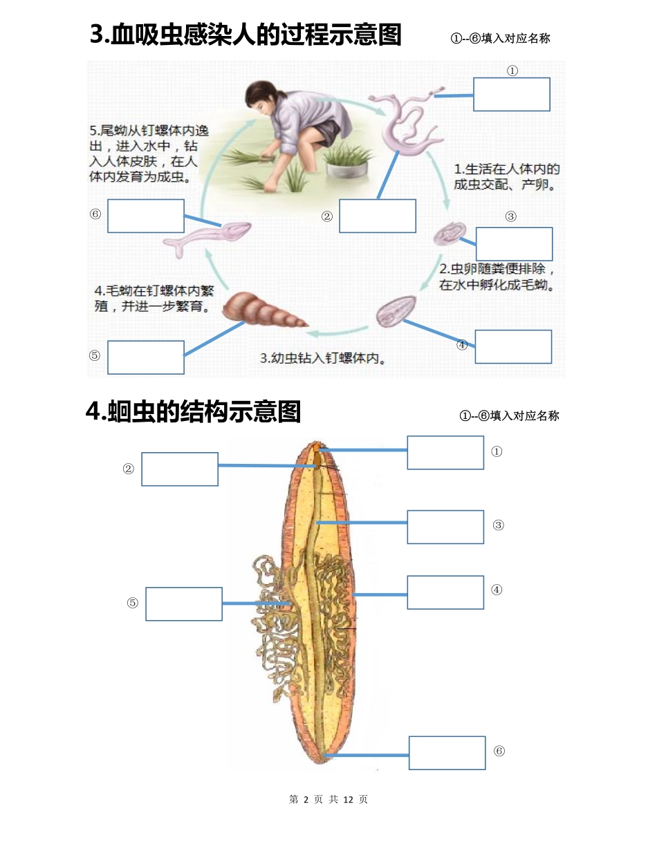 初中生物会考白地图八年级上册_八年级下册_八年级下册生物.pdf_第2页