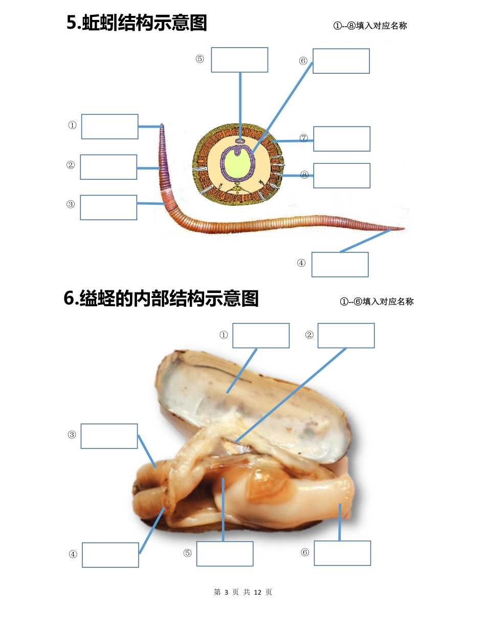 初中生物会考白地图八年级上册_八年级下册_八年级下册生物.pdf_第3页