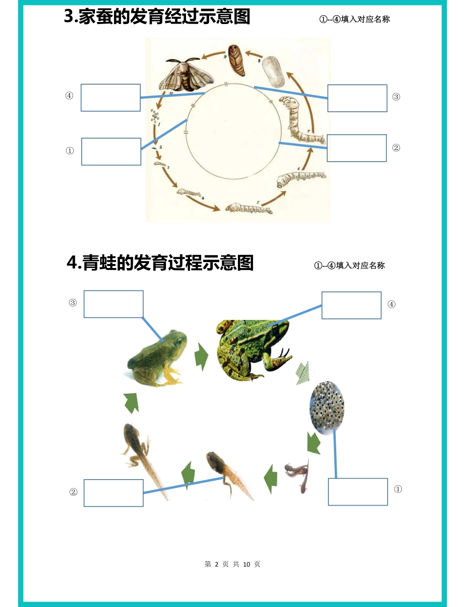 八下生物会考白地图30分钟全部掌握太全了_八年级下册_八年级下册生物.pdf_第2页