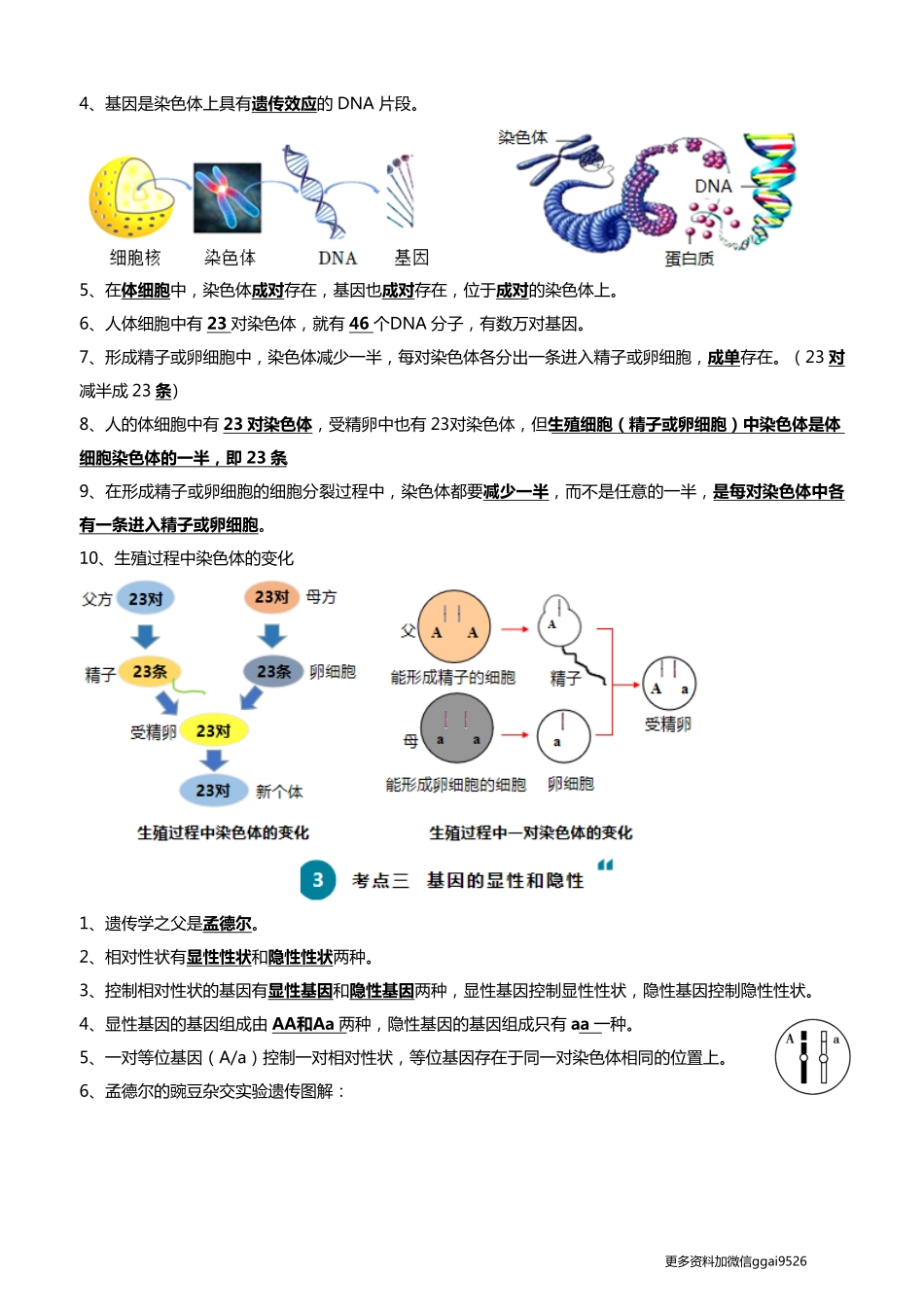 清单13 生物的遗传和变异（5大考点+6大高频命题点）2024年中考生物一轮复习知识清单_八年级下册_八年级下册生物.pdf_第2页