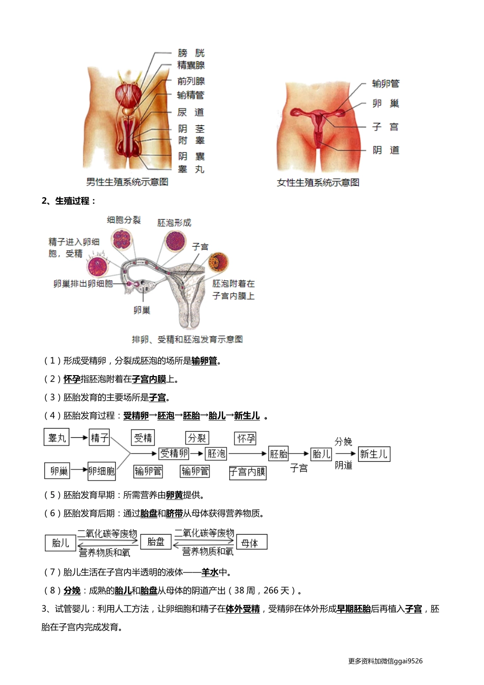 清单12 生物的生殖和发育（包括人的生殖）（5大考点+5大高频命题点）2024年中考生物一轮复习知识清单_八年级下册_八年级下册生物.pdf_第2页