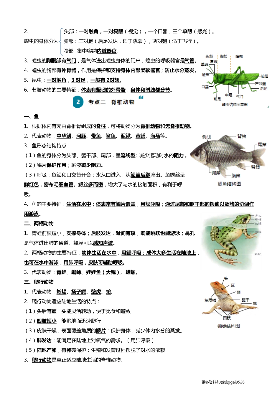 清单08 动物的主要类群（2大考点+3大高频命题点）2024年中考生物一轮复习知识清单_八年级下册_八年级下册生物.pdf_第3页