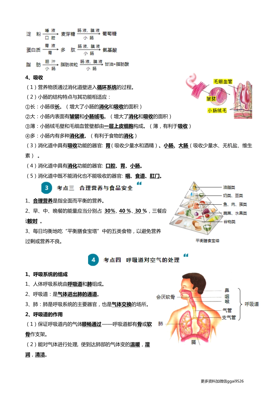 清单05 人体的营养与呼吸（5大考点+5大高频命题点）2024年中考生物一轮复习知识清单_八年级下册_八年级下册生物.pdf_第3页