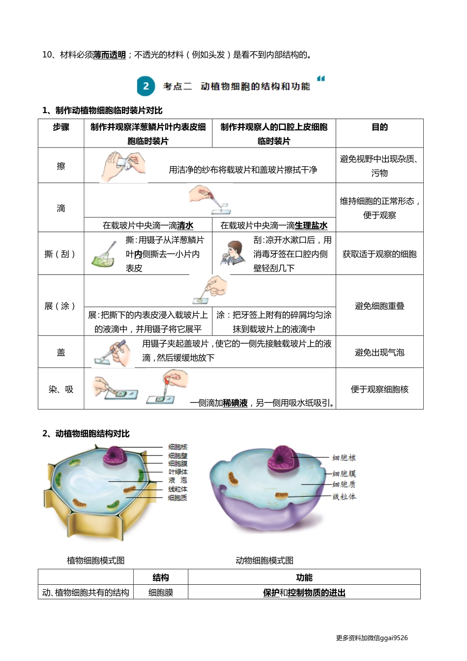 清单02 生物体的结构层次（6大考点+6大高频命题点）2024年中考生物一轮复习知识清单_八年级下册_八年级下册生物.pdf_第3页