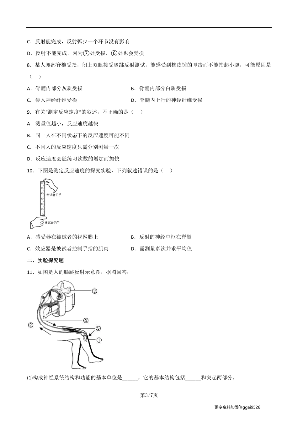 七下探究题05  膝跳反射--实验专攻（原卷版）_八年级下册_八年级下册生物.pdf_第3页