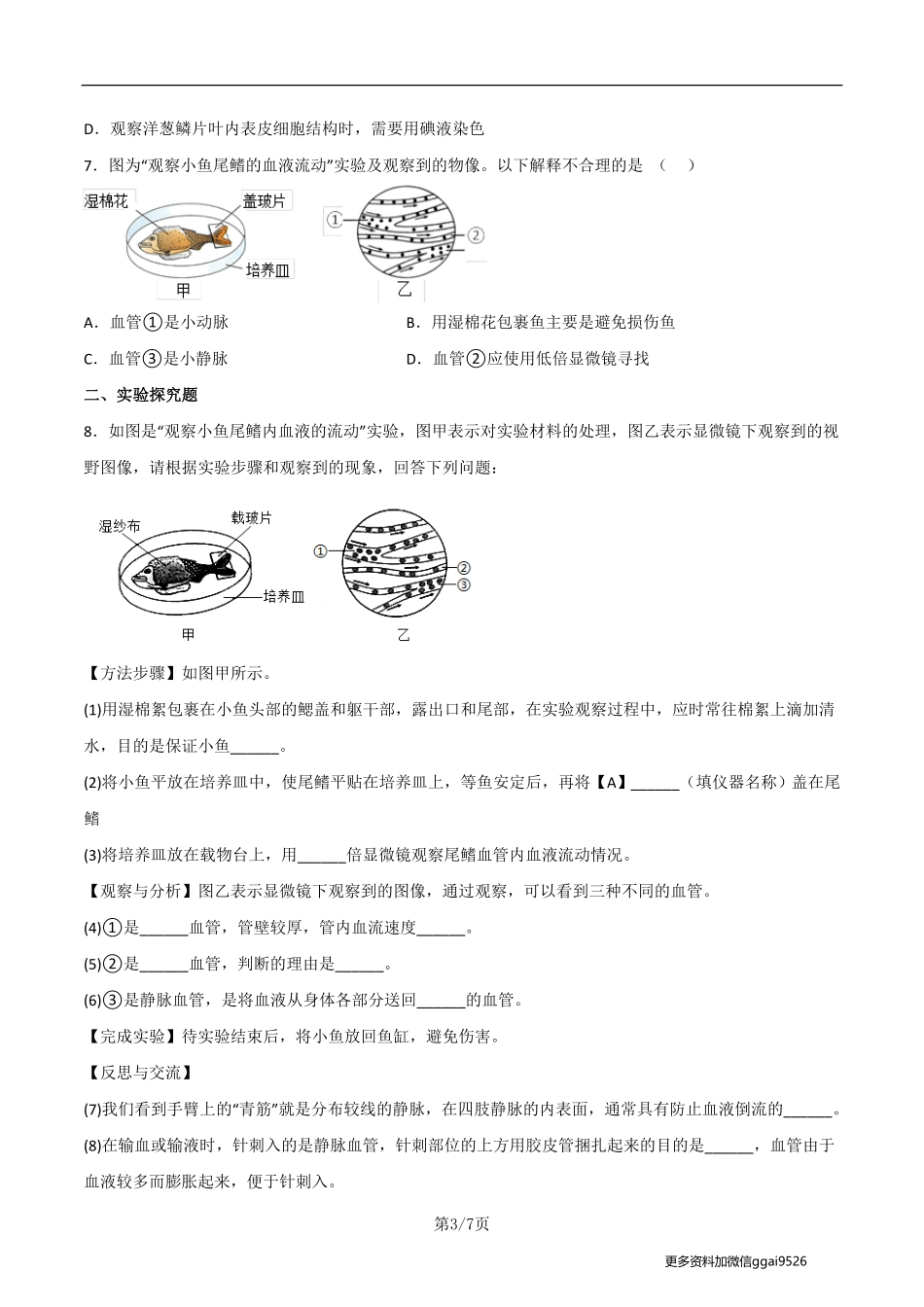 七下探究题04   观察小鱼尾鳍内血夜的流动--实验专攻（原卷版）_八年级下册_八年级下册生物.pdf_第3页