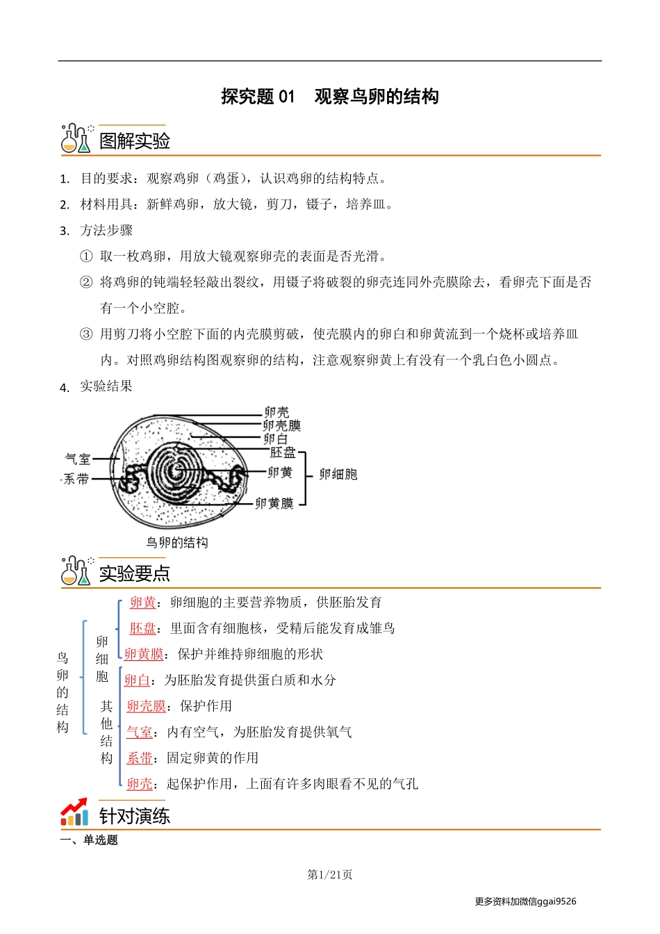 八下探究题01  观察鸟卵的结构--实验专攻（解析版）_八年级下册_八年级下册生物.pdf_第1页