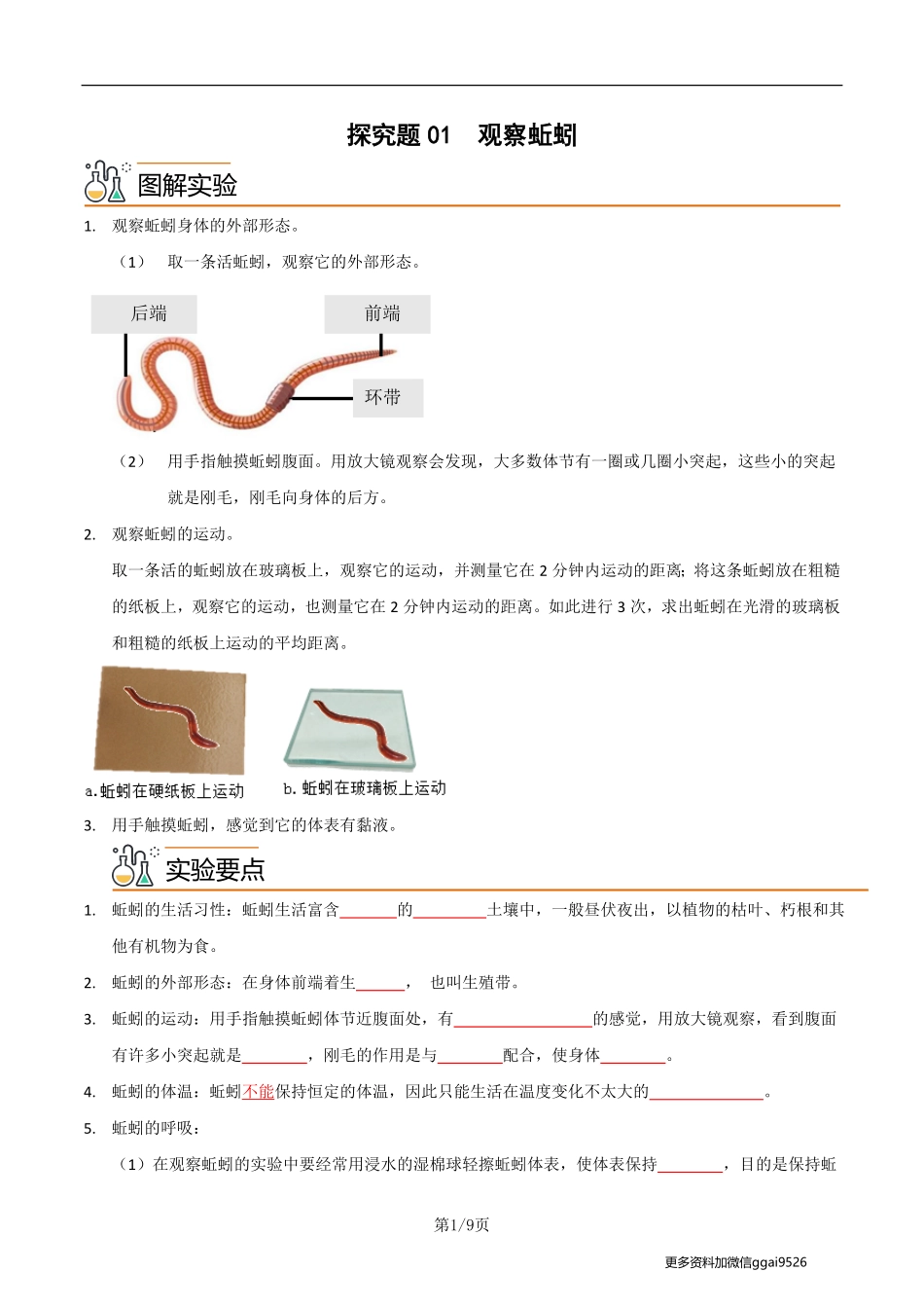 八上探究题01  观察蚯蚓--实验专攻（原卷版）_八年级下册_八年级下册生物.pdf_第1页