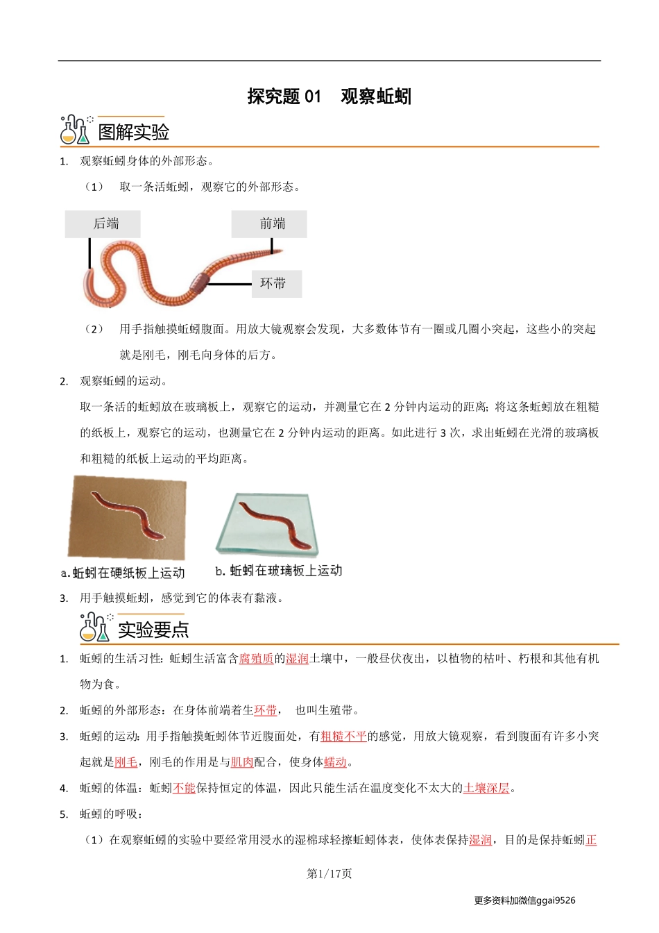 八上探究题01  观察蚯蚓--实验专攻（解析版）_八年级下册_八年级下册生物.pdf_第1页