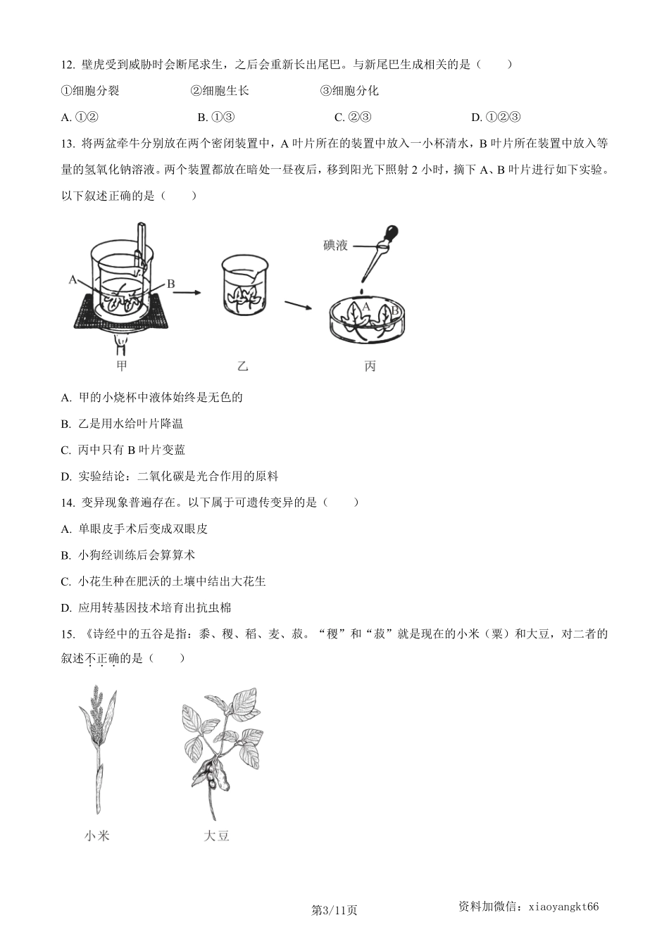 2023年山东省烟台市中考生物真题（原卷版）_八年级下册_八年级下册生物.pdf_第3页