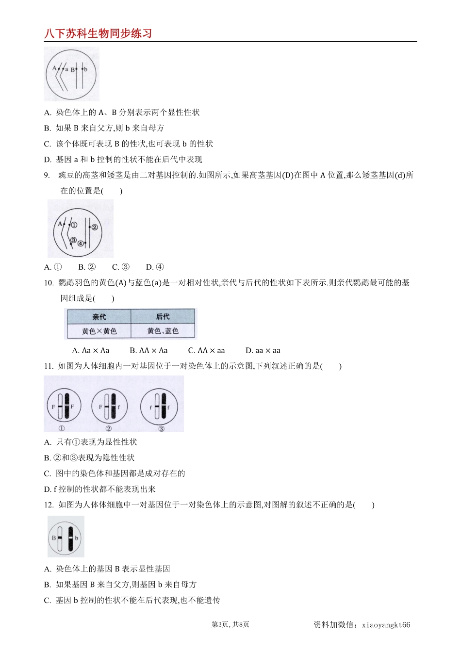 【苏科生物】22.1 生物的遗传第2课时--同步练习（原卷版）_八年级下册_八年级下册生物.pdf_第3页