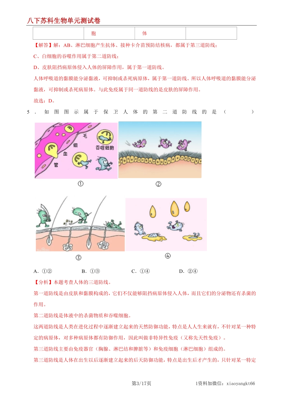 【八下苏科生物】第24章 人类对疾病的抵御（基础过关）（解析版）_八年级下册_八年级下册生物.pdf_第3页