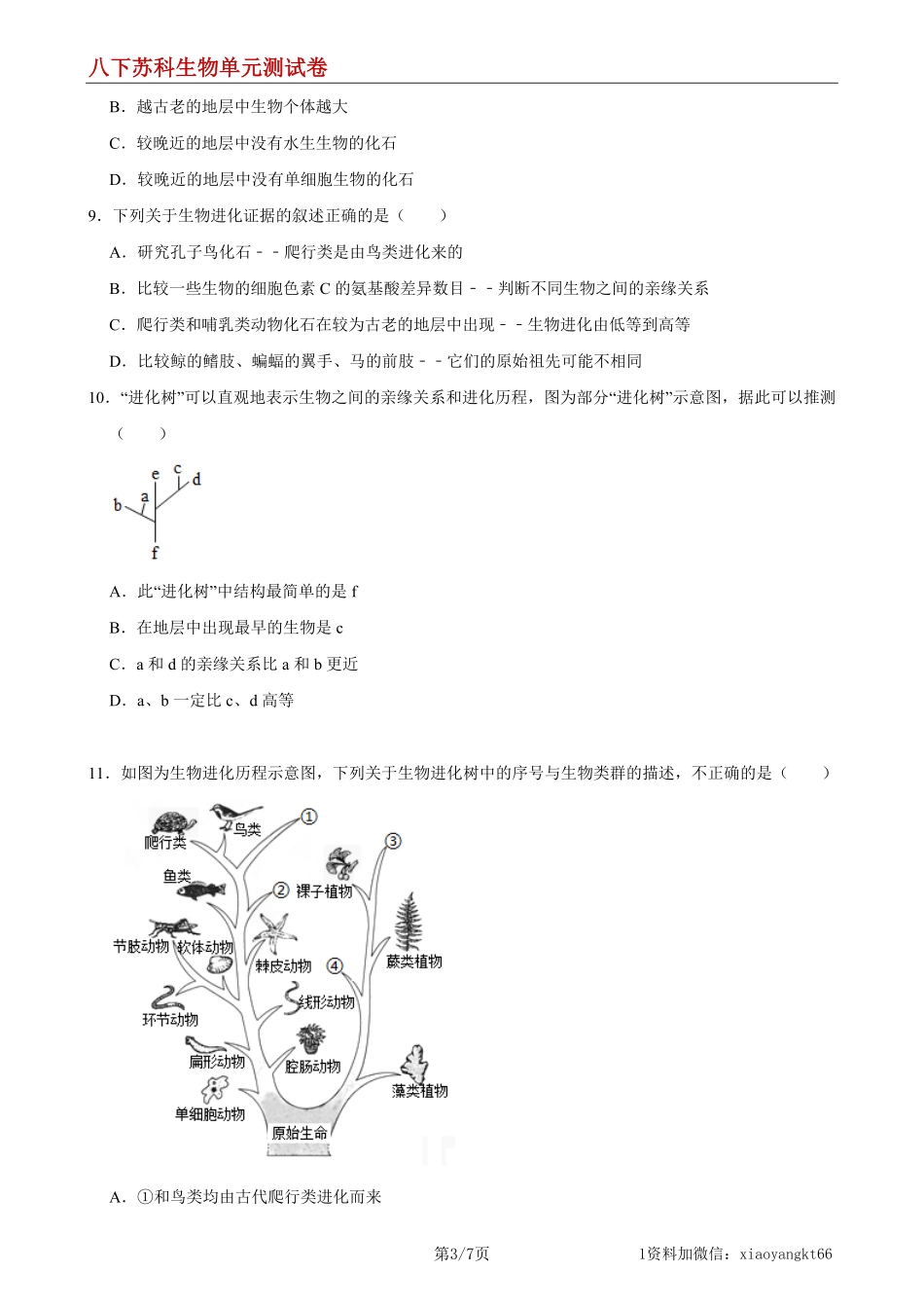 【八下苏科生物】第23章 生物的进化（能力提升）（原卷版）_八年级下册_八年级下册生物.pdf_第3页