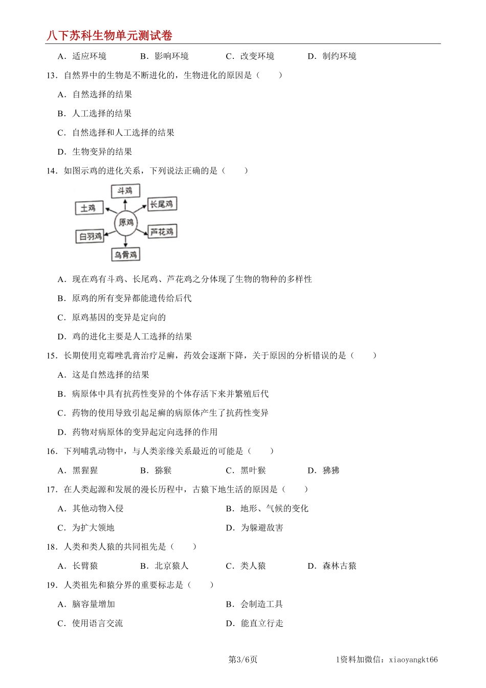 【八下苏科生物】第23章 生物的进化（基础过关）（原卷版）_八年级下册_八年级下册生物.pdf_第3页