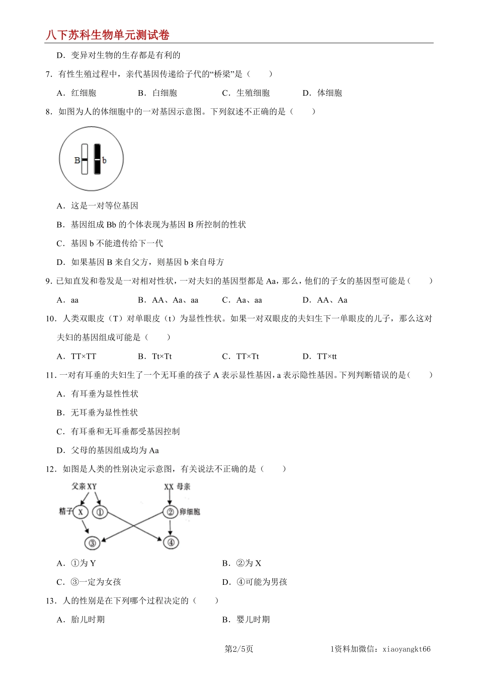 【八下苏科生物】第22章 生物的遗传与变异（基础过关）（原卷版）_八年级下册_八年级下册生物.pdf_第2页