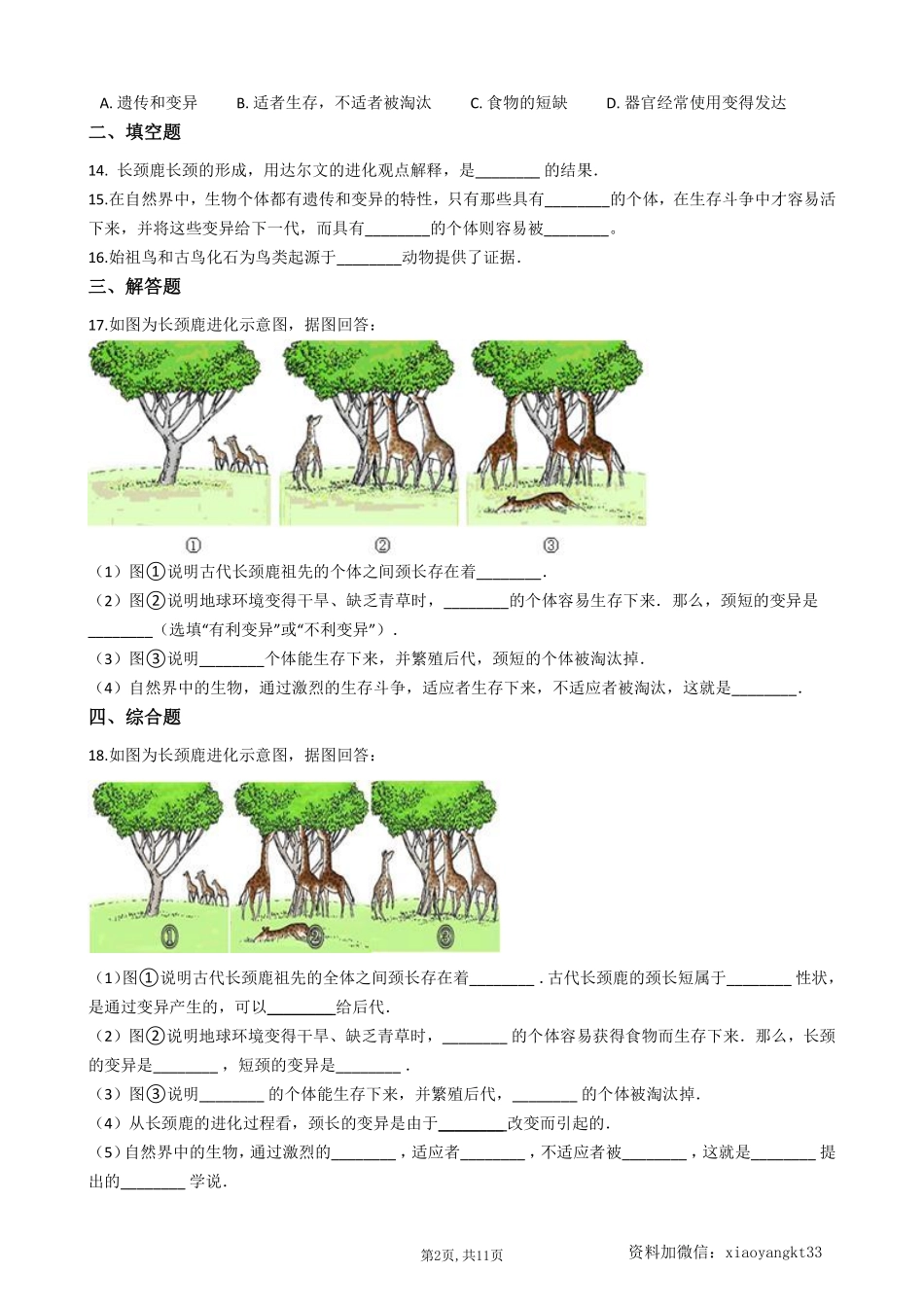 【冀教生物】 6.3.2生物的进化--同步练习_八年级下册_八年级下册生物.pdf_第2页