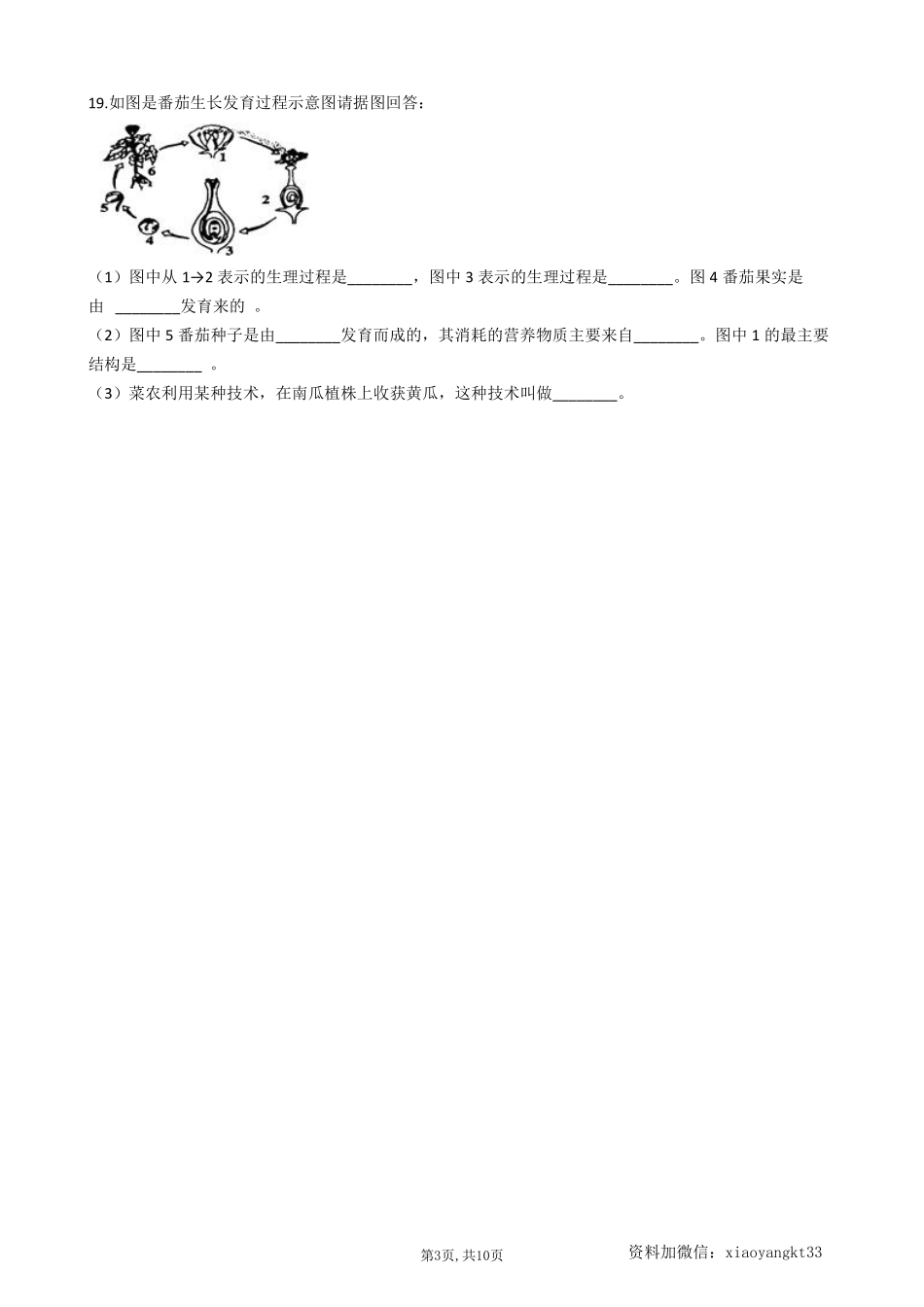 【冀教生物】 6.1生物的繁殖--同步练习_八年级下册_八年级下册生物.pdf_第3页