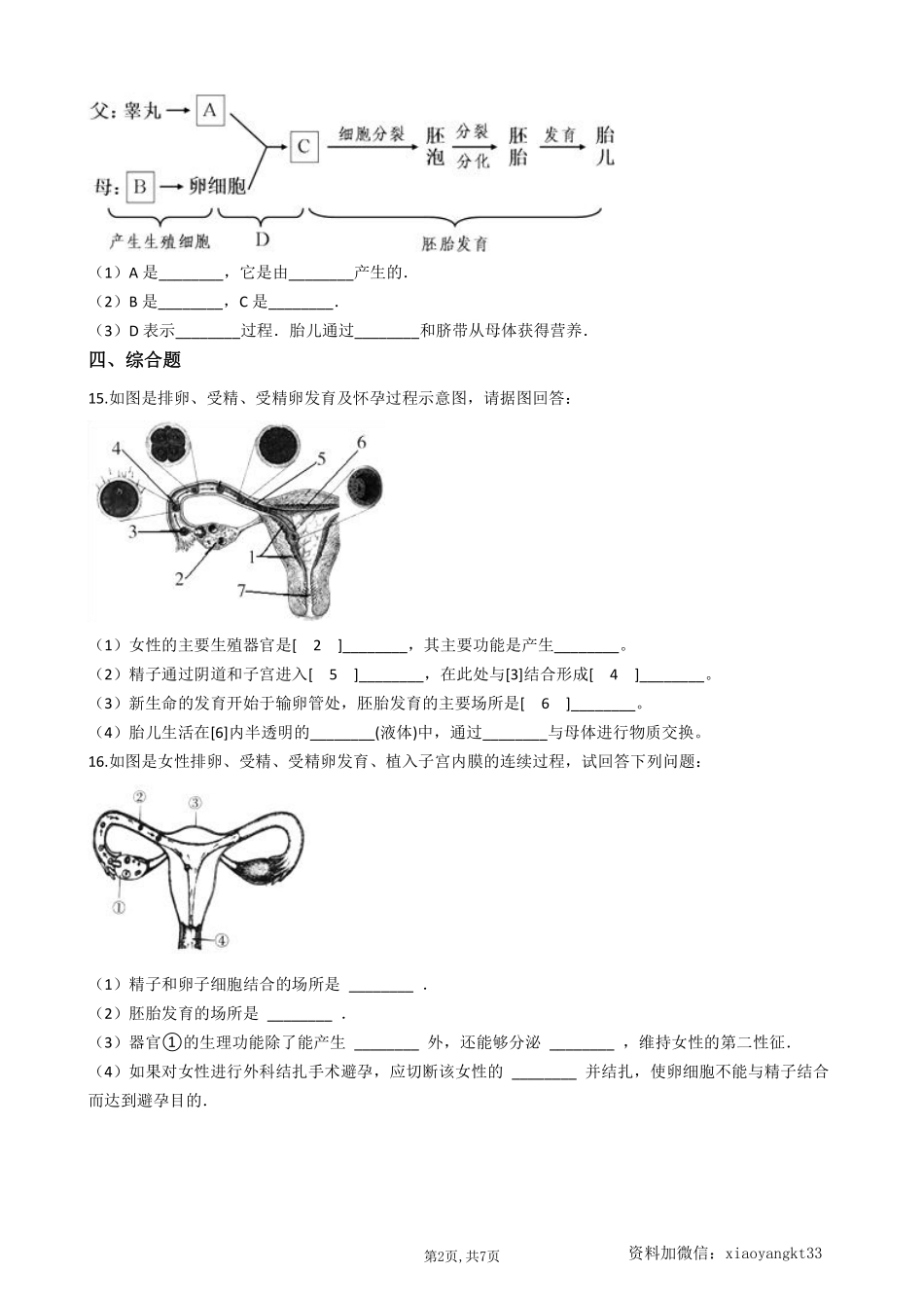 【冀教生物】 6.1.3人的生殖和胚胎发育--同步练习_八年级下册_八年级下册生物.pdf_第2页