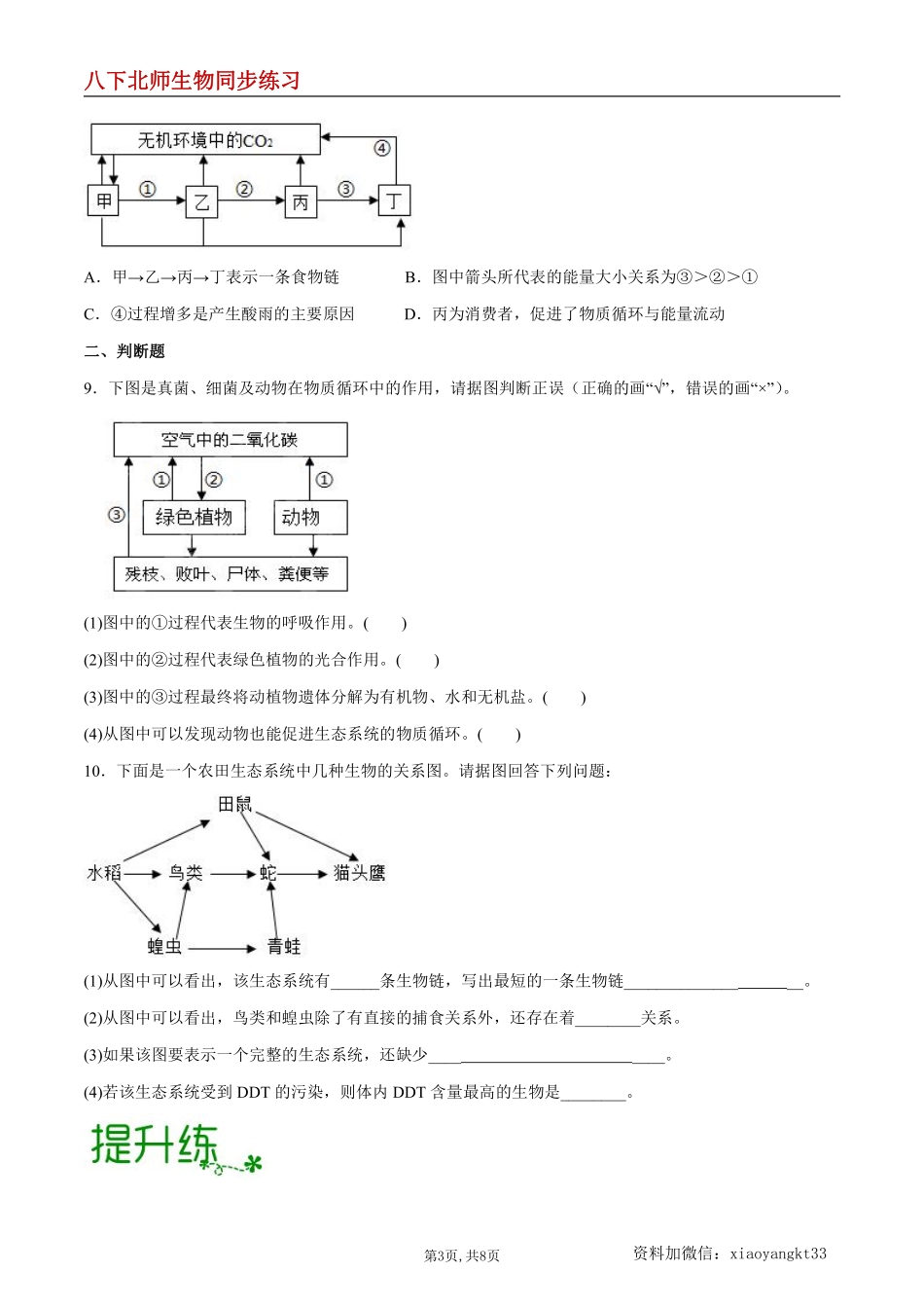 【北师生物】8.23.3 生态系统的结构和功能--同步练习（原卷版）_八年级下册_八年级下册生物.pdf_第3页