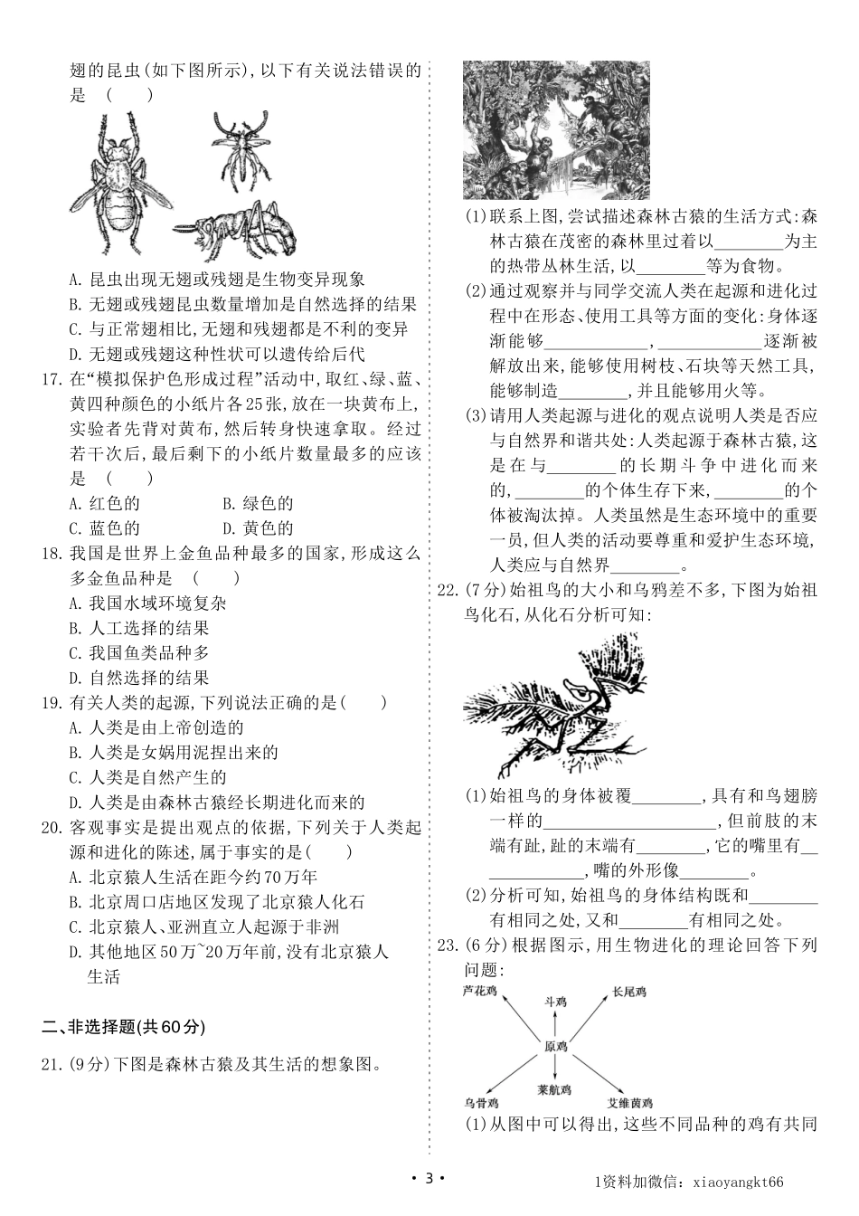 【八下北师生物】第21章综合测试卷B（试卷）_八年级下册_八年级下册生物.pdf_第3页