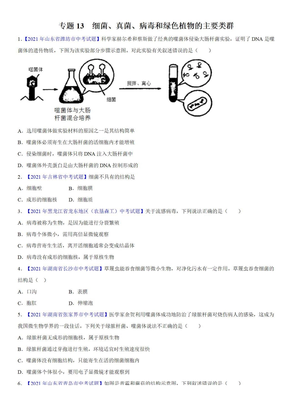 专题13 细菌、真菌、病毒和绿色植物的主要类群——中考真题_八年级下册_八年级下册生物.pdf_第1页