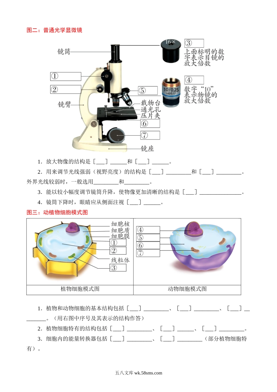 初中生物必记课本彩色母图_八年级下册生物.docx_第2页