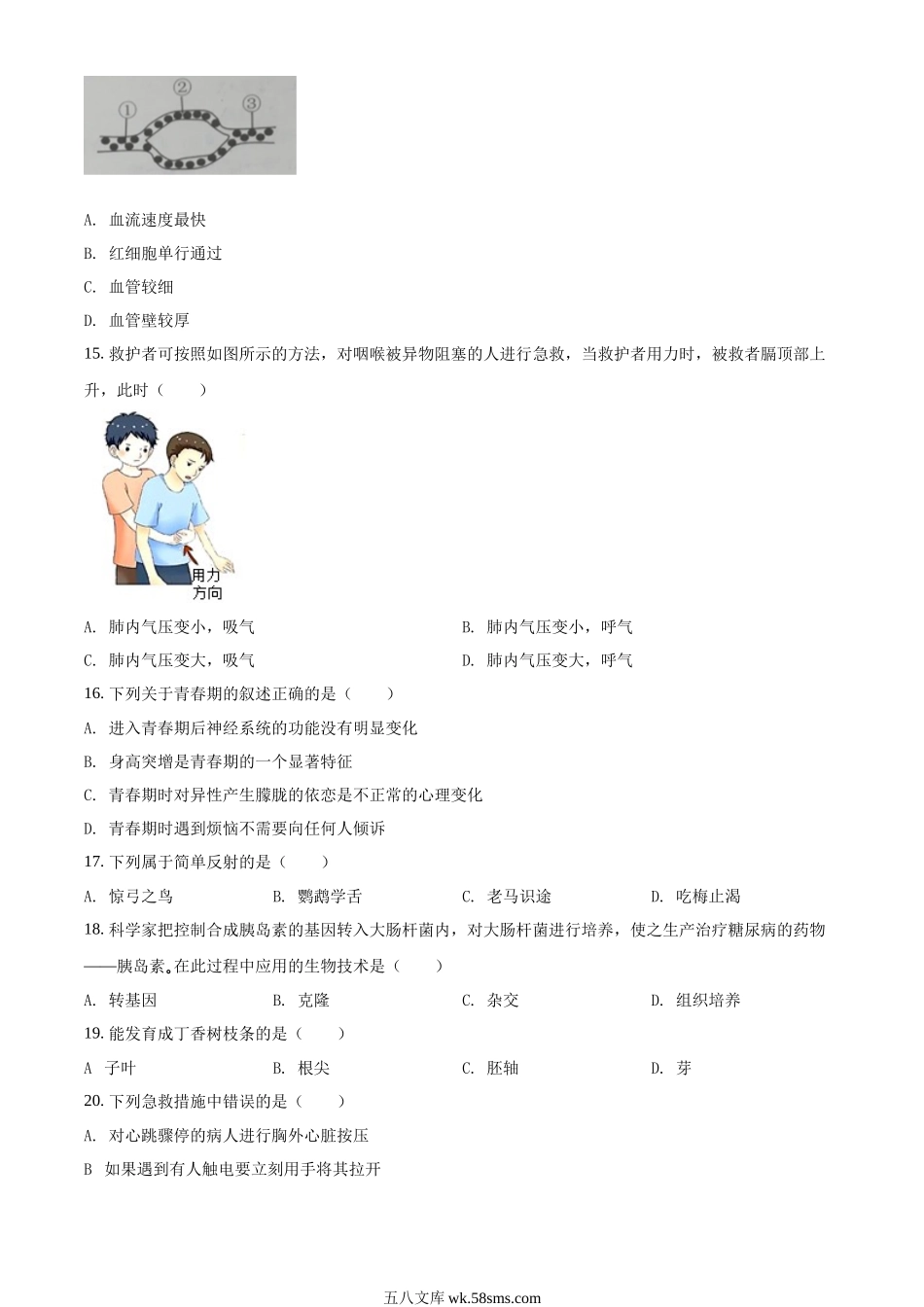 精品解析：2022年吉林省大安市中考生物真题（原卷版）_八年级下册生物.docx_第3页