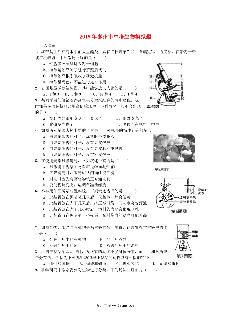 江苏省泰州市2019年中考生物模拟题_八年级下册生物.docx_第1页