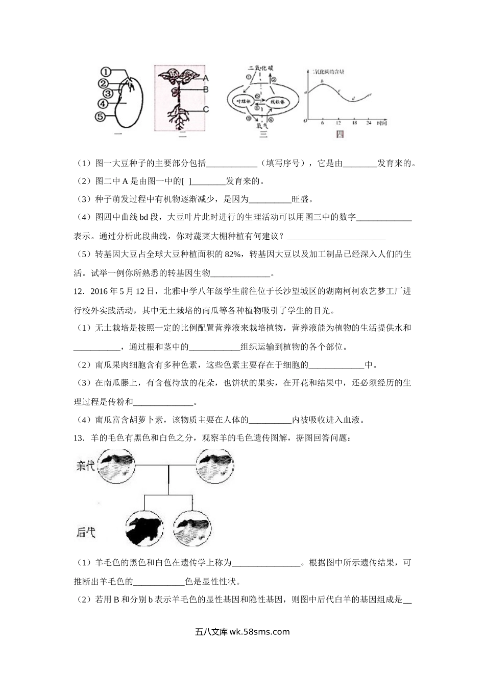 中考生物会考复习专项训练31：生活中的生物技术（基础版，含详解）_八年级下册生物.docx_第3页