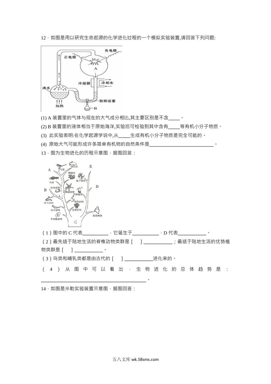 中考生物会考复习专项训练27：生物的进化（基础版，含详解，Word版）_八年级下册生物.docx_第3页