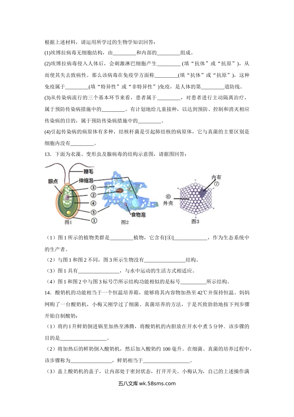 中考生物会考复习专项训练20：广泛分布的真菌和细菌（基础版，含详解）_八年级下册生物.docx_第3页