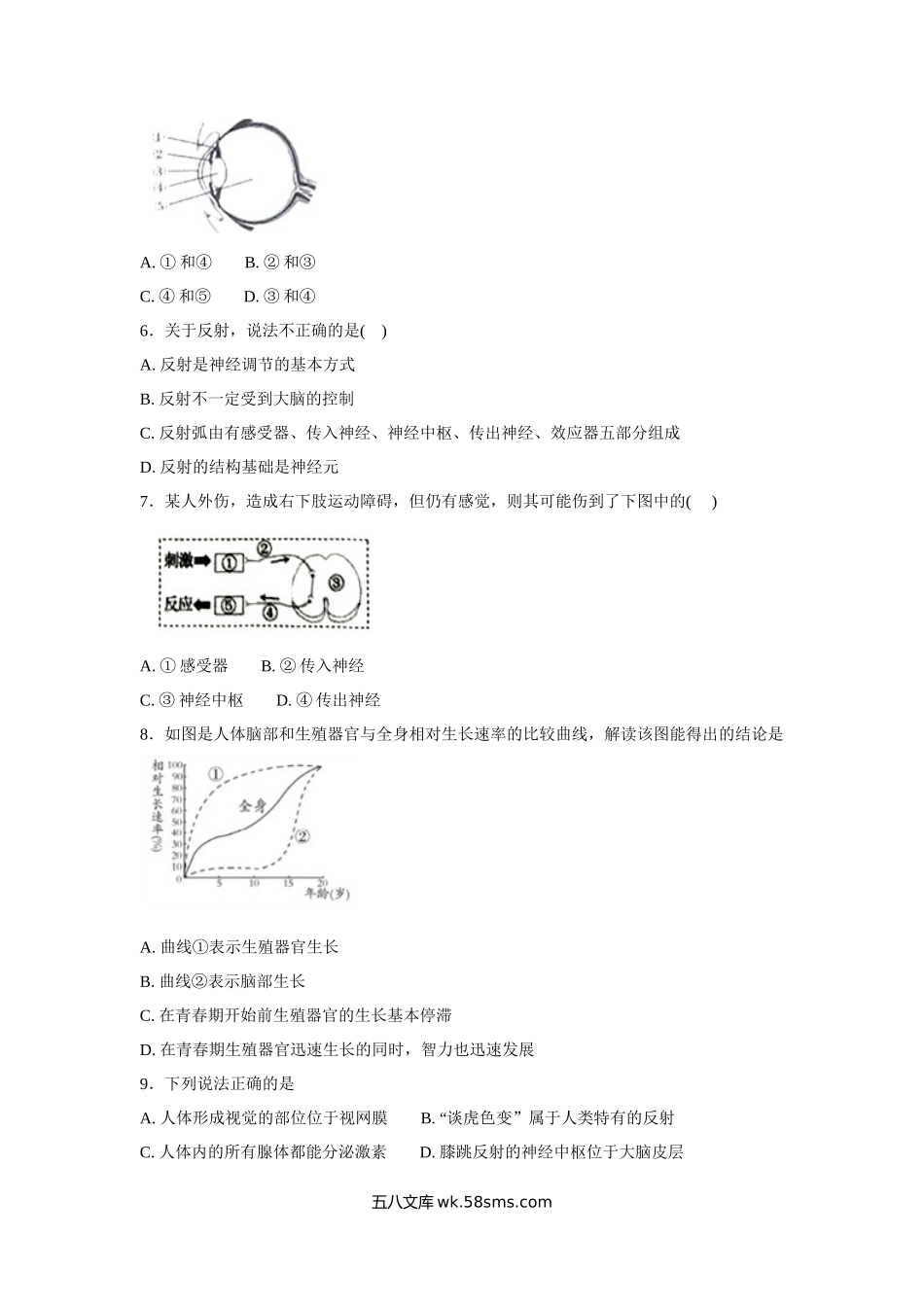 中考生物会考复习专项训练15：人体生命活动的调节（基础版，含详解）_八年级下册生物.docx_第2页