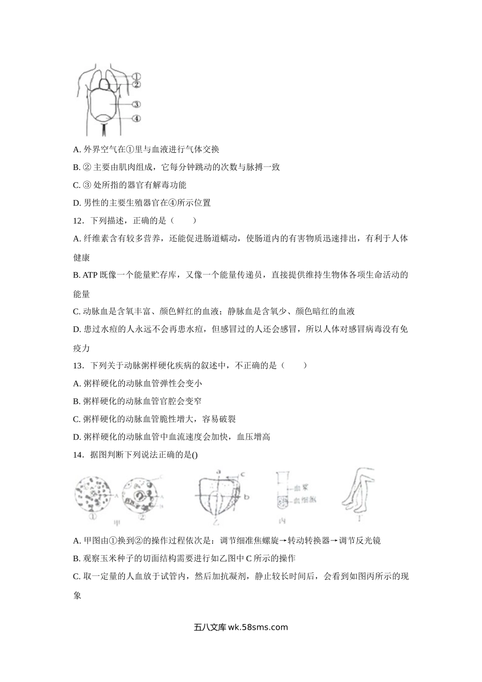 中考生物会考复习专项训练12：人体内物质的运输（基础版，含详解）_八年级下册生物.docx_第3页