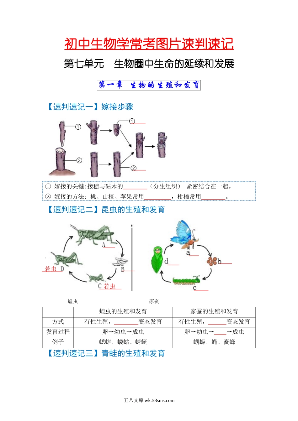 速判速记08  生物圈中生命的延续和发展+健康的生活-【热图解读】中考生物常考图片速判速记（学生版） _八年级下册生物.docx_第1页