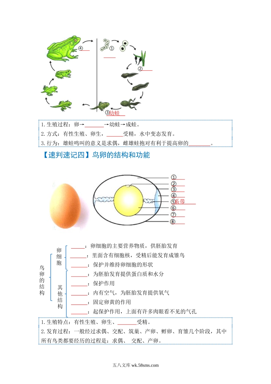 速判速记08  生物圈中生命的延续和发展+健康的生活-【热图解读】中考生物常考图片速判速记（学生版） _八年级下册生物.docx_第2页