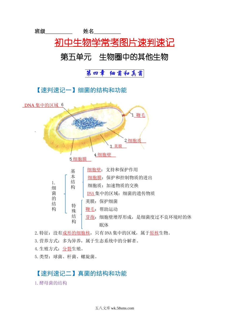 速判速记07  细菌、真菌和病毒+生物的多样性及其保护-【热图解读】中考生物常考图片速判速记（教师版）_八年级下册生物.docx_第1页