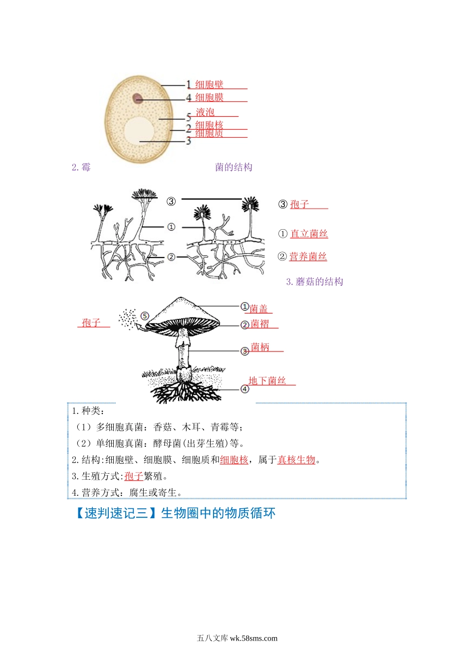 速判速记07  细菌、真菌和病毒+生物的多样性及其保护-【热图解读】中考生物常考图片速判速记（教师版）_八年级下册生物.docx_第2页