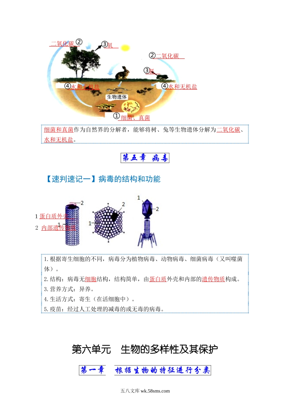 速判速记07  细菌、真菌和病毒+生物的多样性及其保护-【热图解读】中考生物常考图片速判速记（教师版）_八年级下册生物.docx_第3页