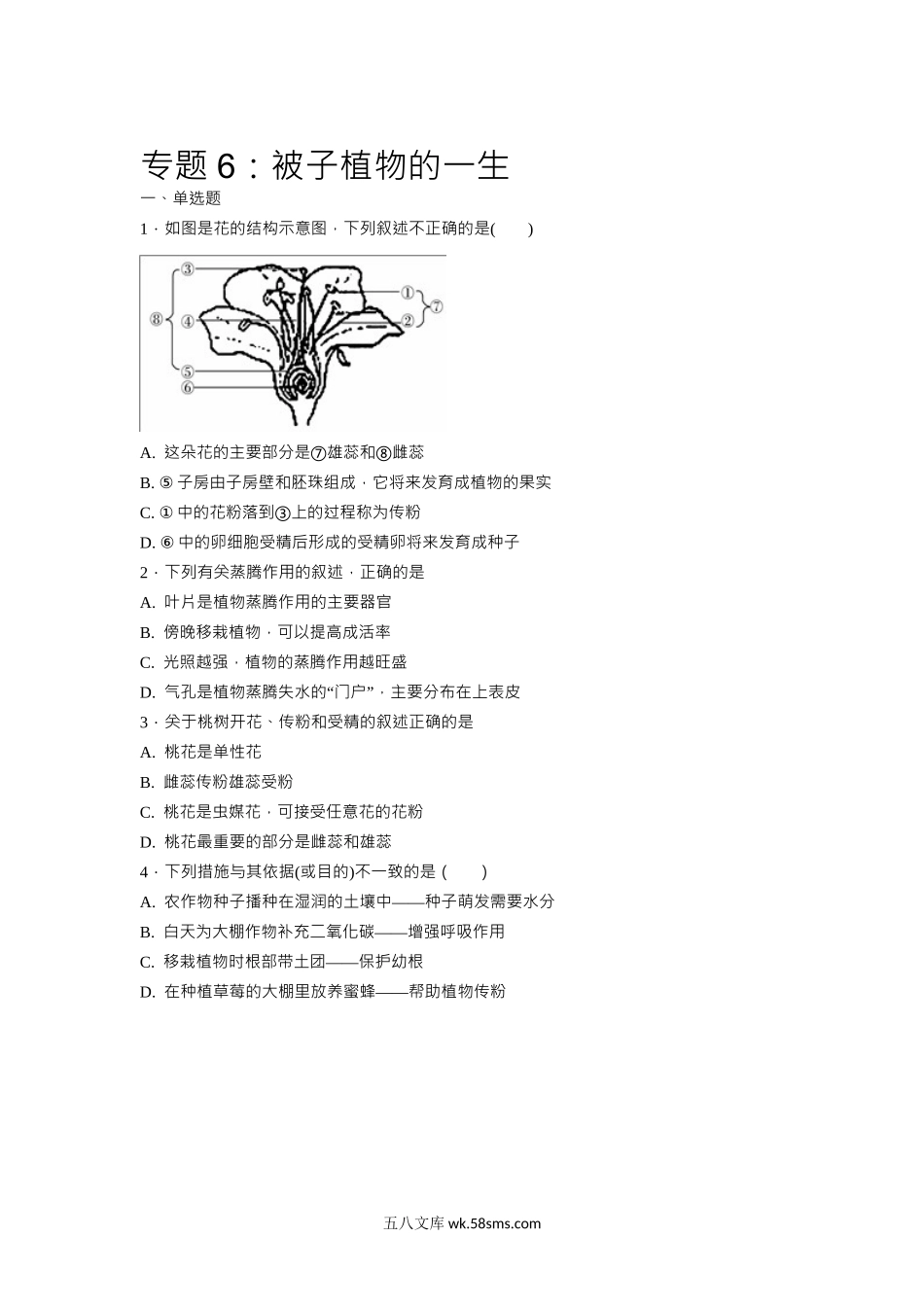 中考生物会考复习专项训练6：被子植物的一生（ Word，解析版）_八年级下册生物.docx_第1页