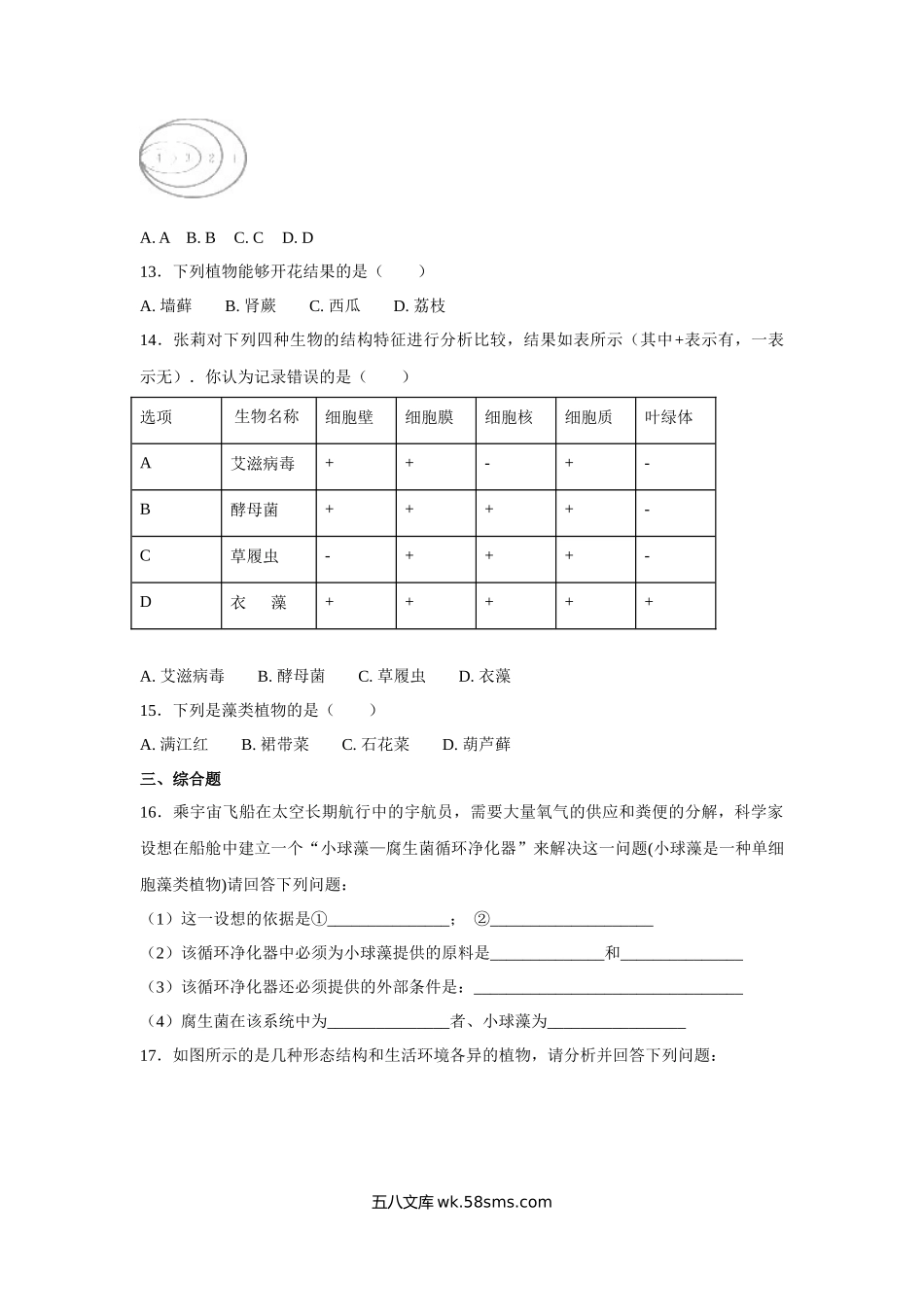 中考生物会考复习专项训练5：生物圈中的绿色植物（基础版，含详解）_八年级下册生物.docx_第3页